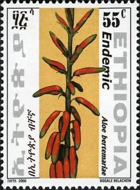 Aloe bertemariae