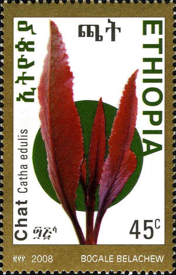 Medicine (Health Campaigns)