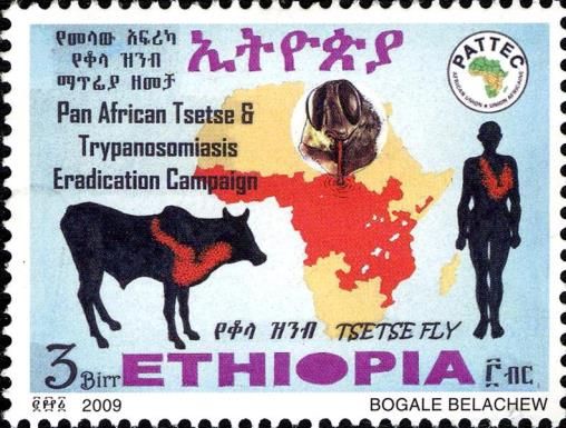 Medicine (Diseases) Medicine (Health Campaigns) Fauna (Insec