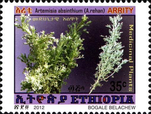 Artemisia absinthium