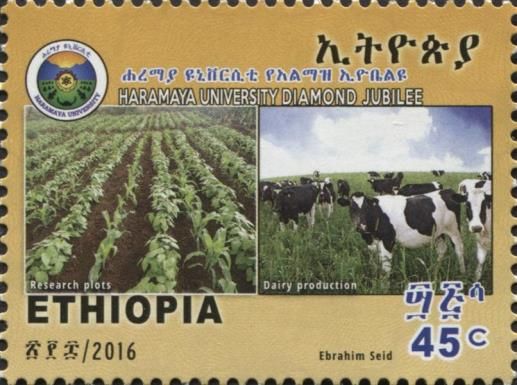 Research plots and Dairy production