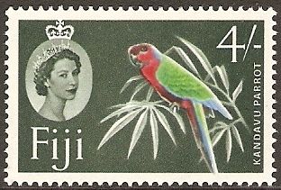 Kandavu Parrot (Prosopeia splendens)