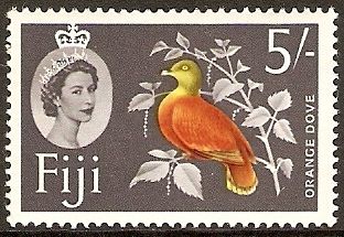 Orange Dove (Ptilinopus victor)