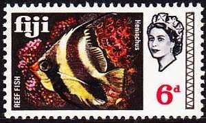 Reef Fish (Heniochus sp.)