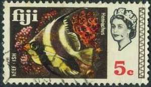 Reef Fish (Heniochus sp.)