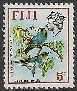 Grey-backed White-eye (Zosterops lateralis)
