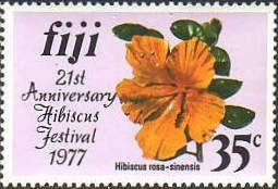 Hibiscus rosa-sinensis