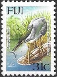 Mangrove Heron (Butorides striatus diminutus)