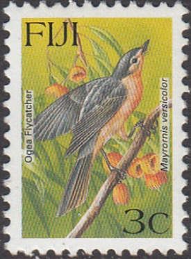 Ogea Flycatcher (Mayrornis versicolor)