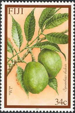 Wi (Spondias dulcis)