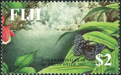 Environment & Conservation