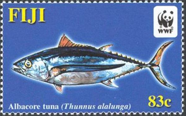 Albacore Tuna (Thunnus alalunga)