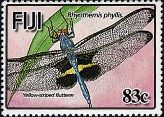Yellow-stripped Flutterer (Rhyothemis phyllis)