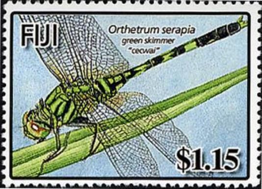 Cecwal - Green Skimmer (Orthetrum serapia)