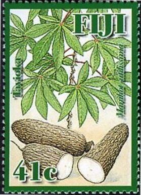 Manihot utilissima (cassava)