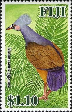 Viti Levu Giant Pigeon (Natunaornis gigoura)