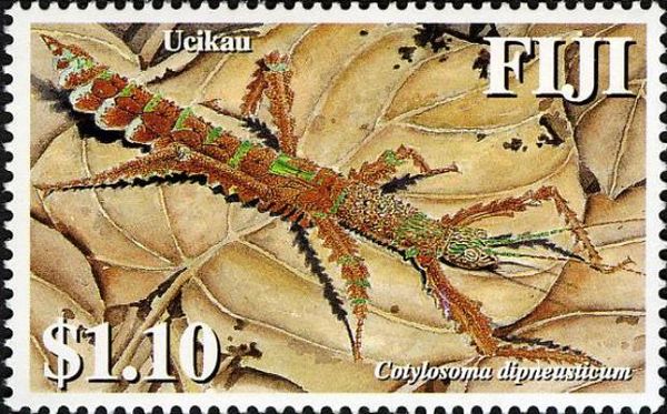 Ucikau - Phasmid (Cotylosoma dipneusticum)