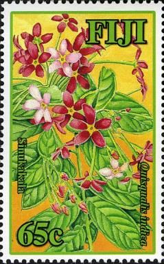 Sinukakala (Ouisqualis indica)