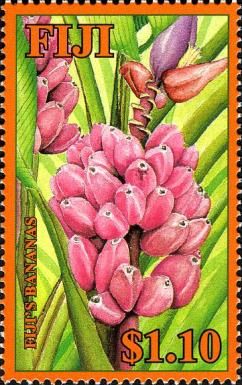 Fiji's Bananas