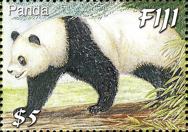 Giant Panda (Ailuropoda melanoleuca)