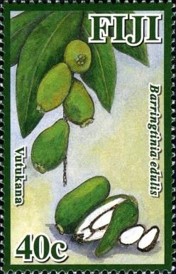 Vutukana (Barringtinia edulis)