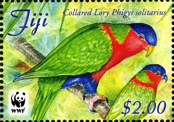Collared Lory (Phigys solitarius)