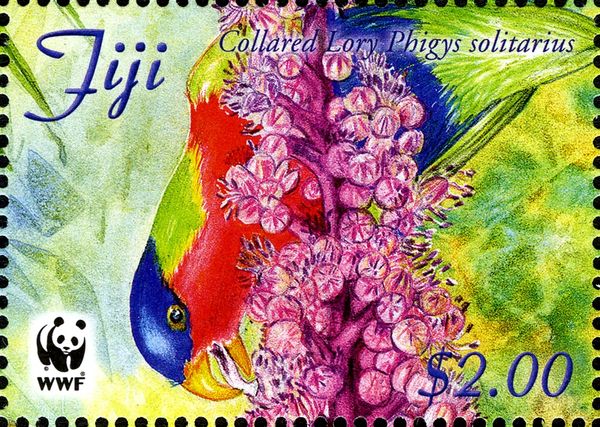 Collared Lory (Phigys solitarius)