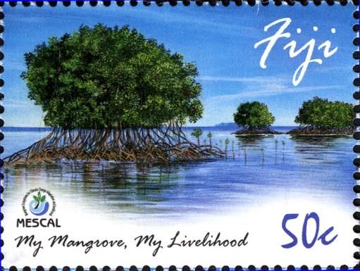 Shoreline with Mangroves