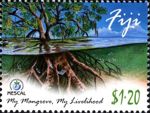 Mangrove Tree with Underwater Roots