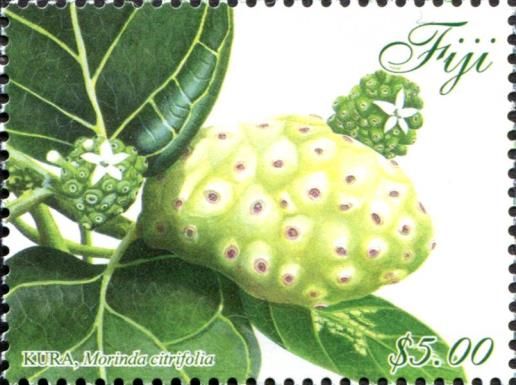 Kura (Morinda citrifolia)