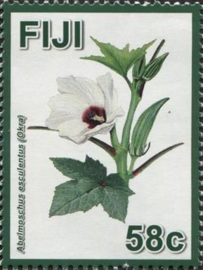 Okra (Abelmoschus esculentus)