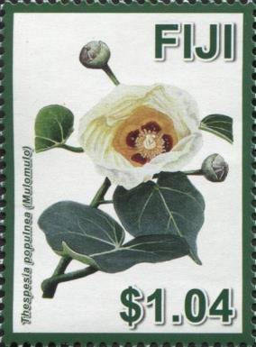 Mulomulo (Thespesia populnea)
