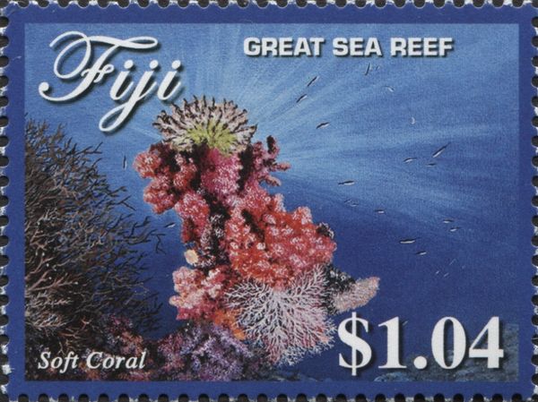 Soft Coral