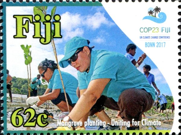 People Planting Mangrove Trees