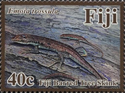 Fiji Barred Tree Skink (Emoia trossula)