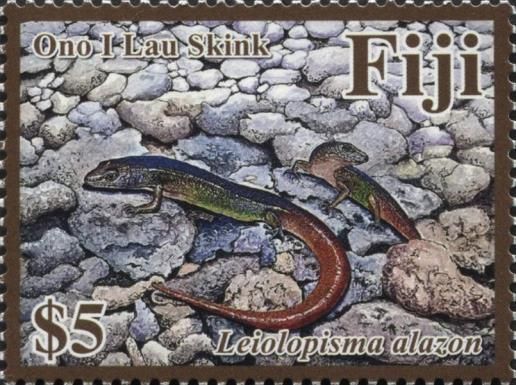 Ono I Lau Skink (Leiolopisma alazon)