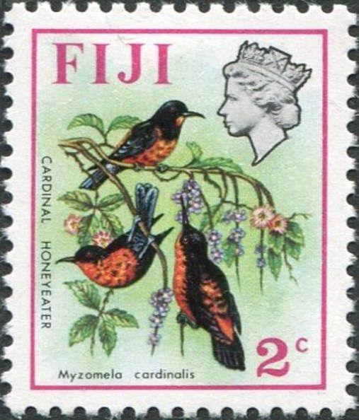 Cardinal Honeyeater (Myzomela cardinalis)