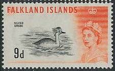 Silver Grebe (Podiceps occipitalis)