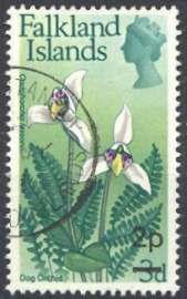 Dog Orchid (Codonorchis lessonii) surcharged