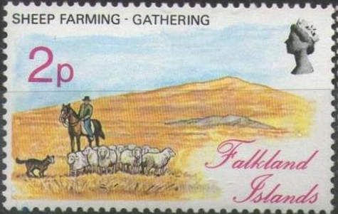 Sheep Gathering