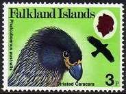 Striated Caracara (Phalcoboenus australis)