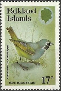 Black-throated Finch (Melanodera melanodera melanodera)