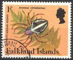 Beauchene Spider (Emmenomma beauchenicum)