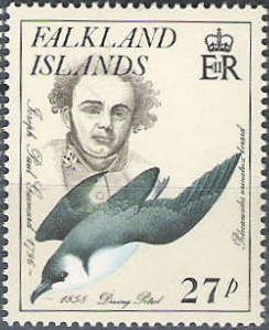 Joseph Paul Gaimard, Common Diving Petrel (Pelecanoides urin