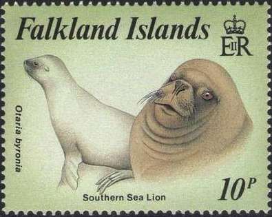 Southern Sea Lion (Otaria byronia)