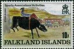 Steer Riding