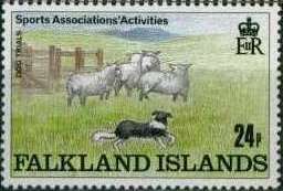 Sheepdog Trials