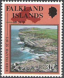 Bird Island, Albatross, Southern Rockhopper Penguin