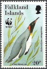 King Penguin (Aptenodytes patagonicus)