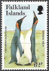 King Penguin (Aptenodytes patagonicus)